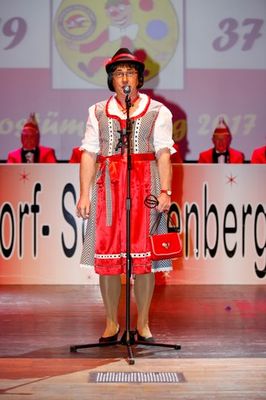 Kostümsitzung 2017, Bild 19