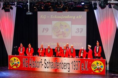 Kostümsitzung 2017, Bild 37