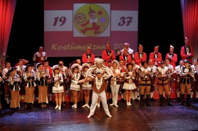 Kostümsitzung 2017, Bild 38
