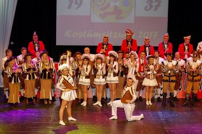 Kostümsitzung 2017, Bild 39