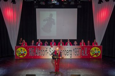 Kostümsitzung 2018, Bild 16