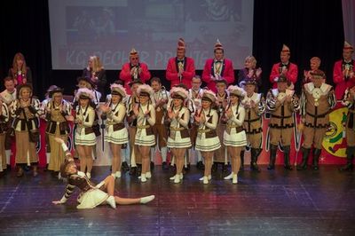 Kostümsitzung 2018, Bild 24