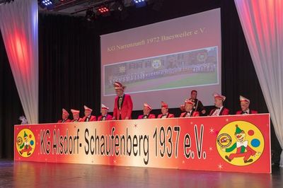Kostümsitzung 2019, Bild 10