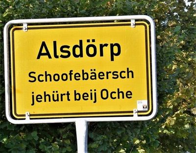 ZDF-Fernsehgarten, Bild 19